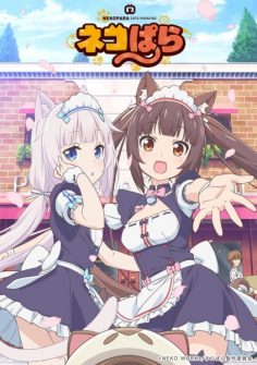 أنمى Nekopara مترجم (تم اضافة الحلقة 11)