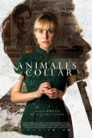 فيلم Animales sin collar 2018 مترجم